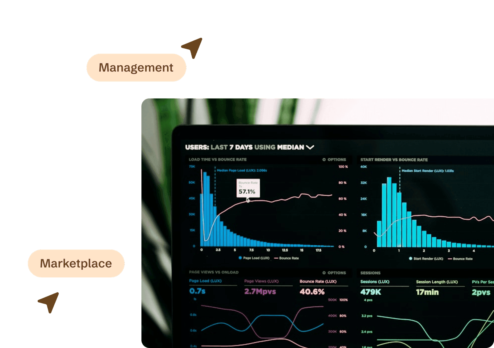 Marketplace Setup & Management